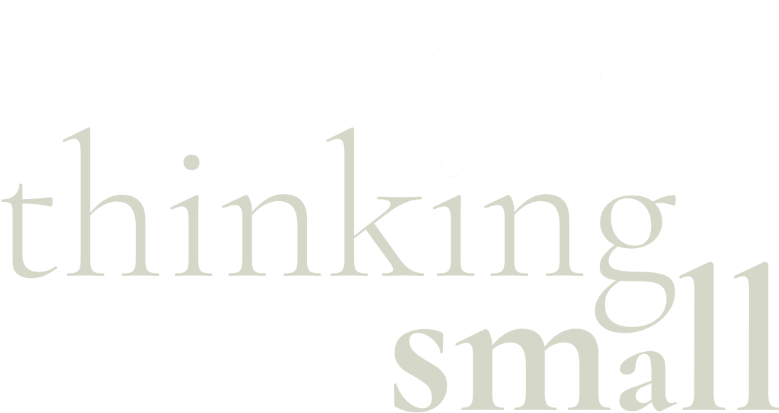Thinking Small Logo