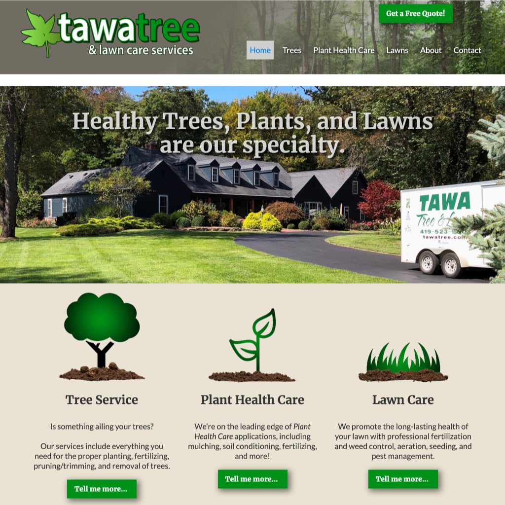 Tawa Tree